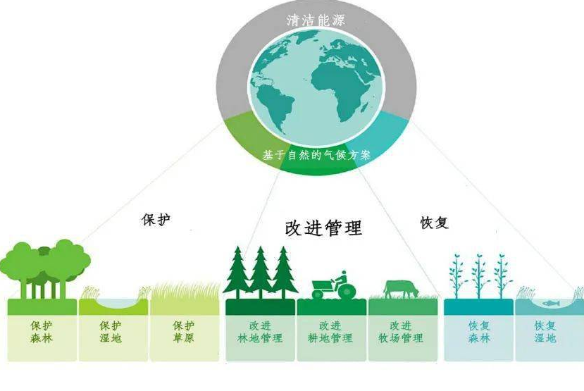 河北碳達(dá)峰碳中和工作這樣干