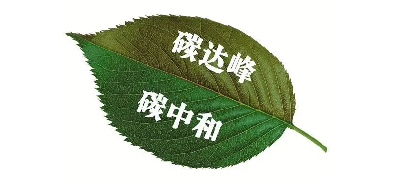 穩(wěn)中求進:如期實現(xiàn)“雙碳”目標(biāo)愿景